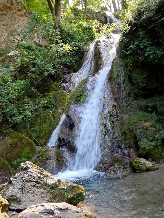 Gesztenyés Apartman Miskolc Esterno foto