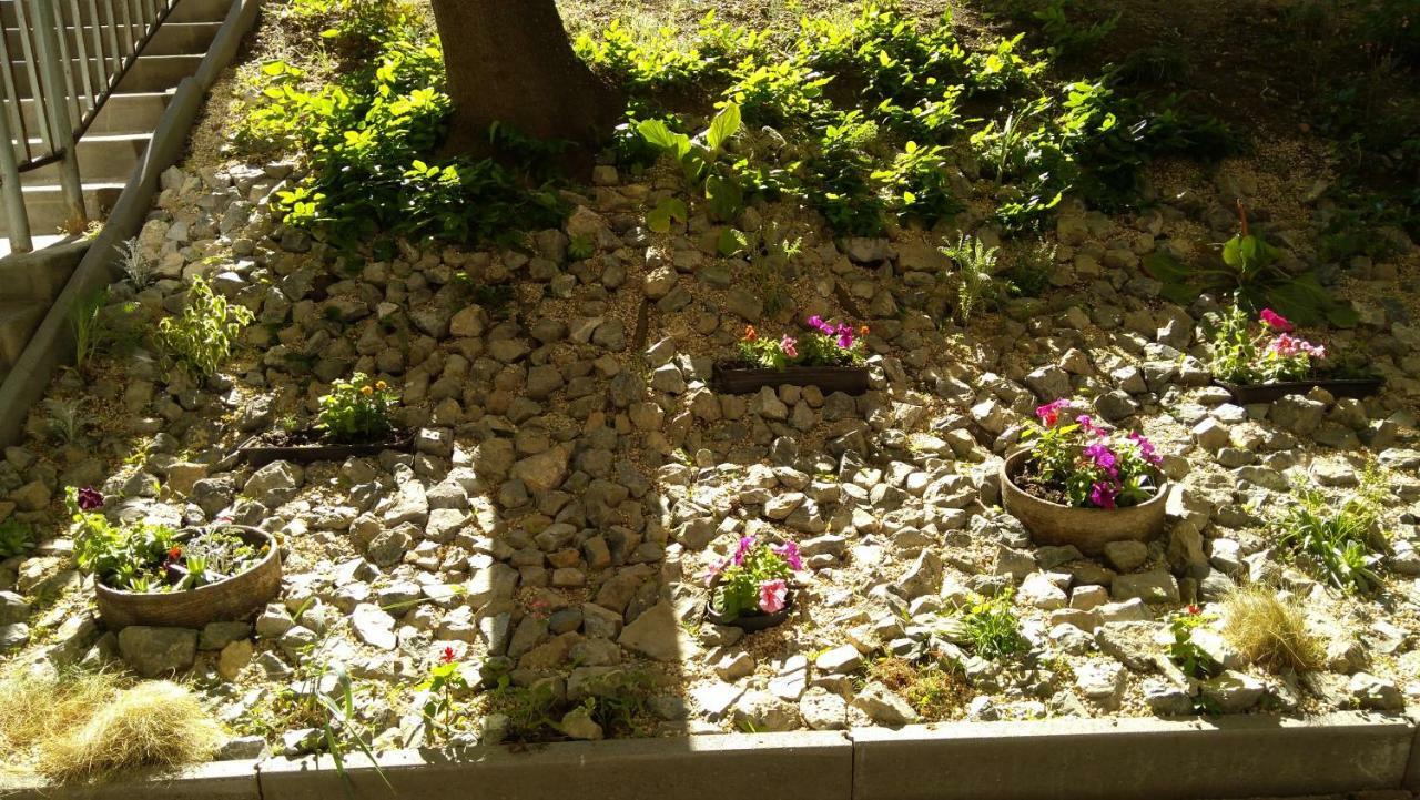 Gesztenyés Apartman Miskolc Esterno foto