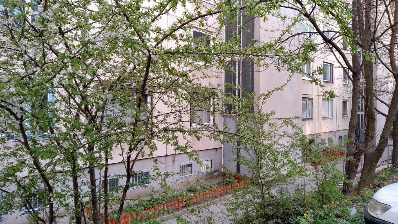 Gesztenyés Apartman Miskolc Esterno foto